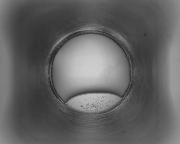 X0000111841216200907231032