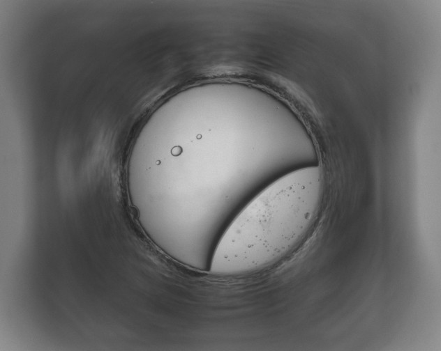 X0000111841217200907231032