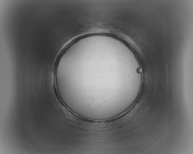 X0000111841220200907231032