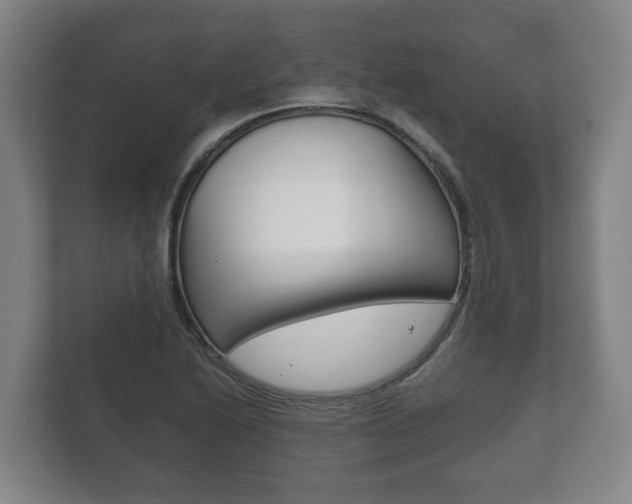 X0000111841222200907231032