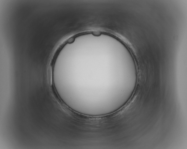 X0000111841223200907231032