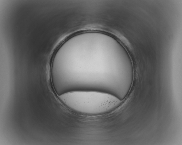 X0000111841224200907231032