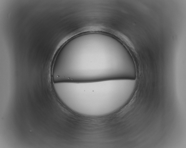 X0000111841226200907231032
