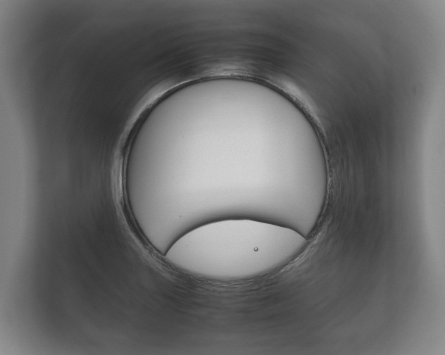 X0000111841227200907231032