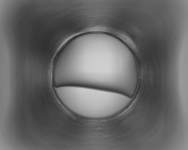 X0000111841228200907231032