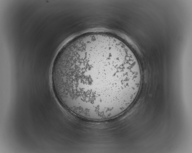 X0000111841229200907231032
