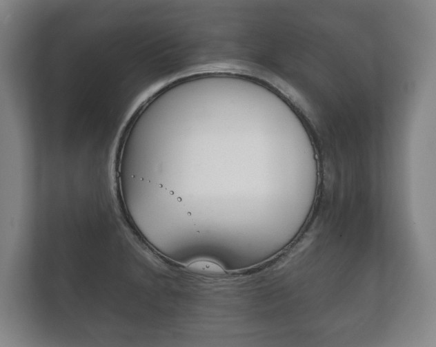 X0000111841230200907231032