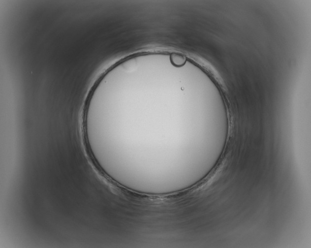 X0000111841231200907231032