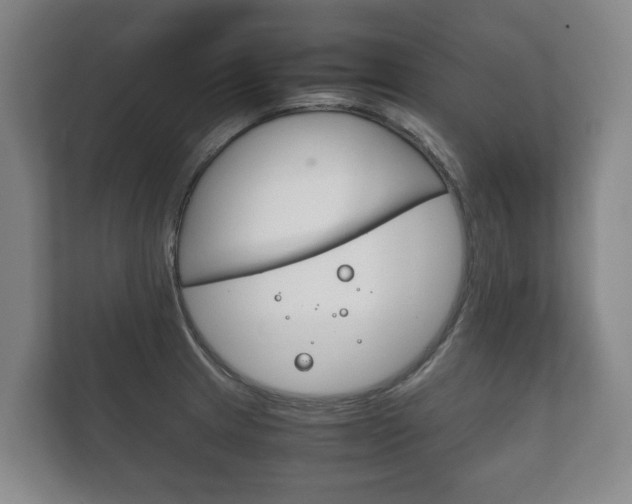 X0000111841233200907231032