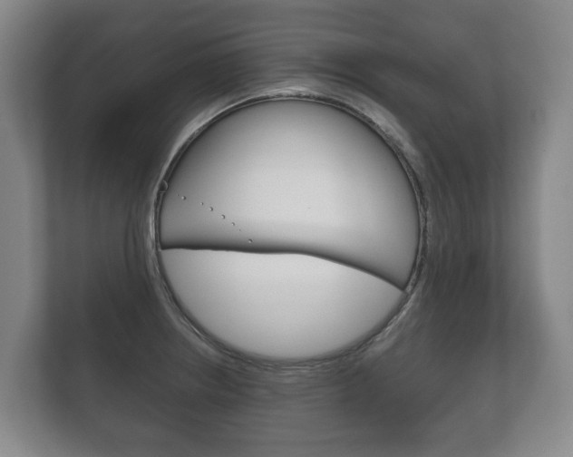 X0000111841234200907231032