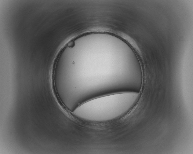 X0000111841237200907231033