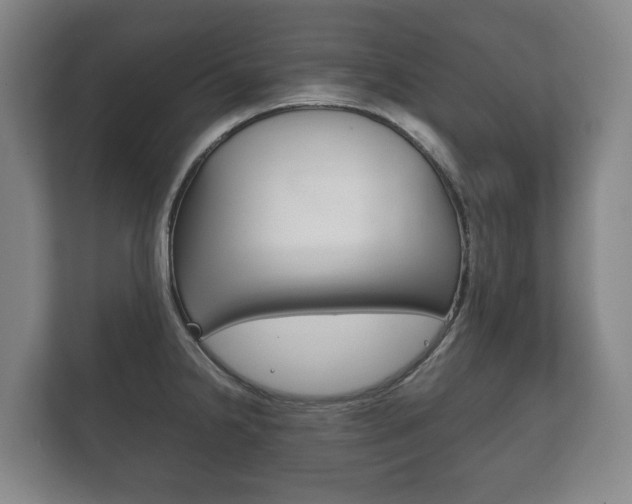 X0000111841238200907231033