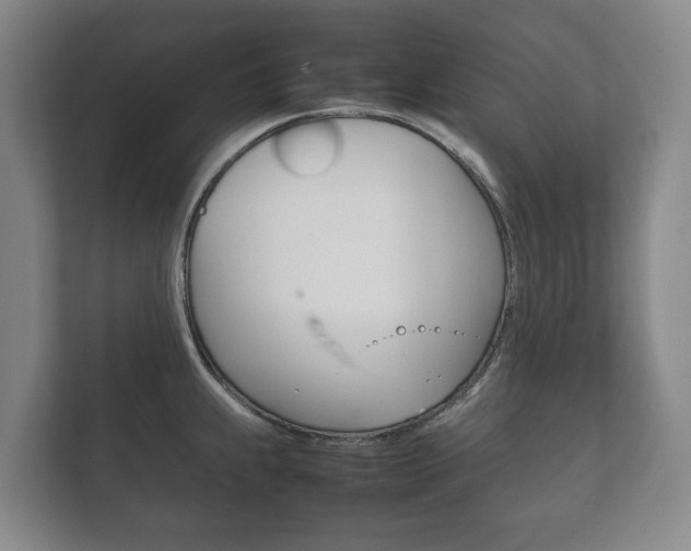 X0000111841239200907231033