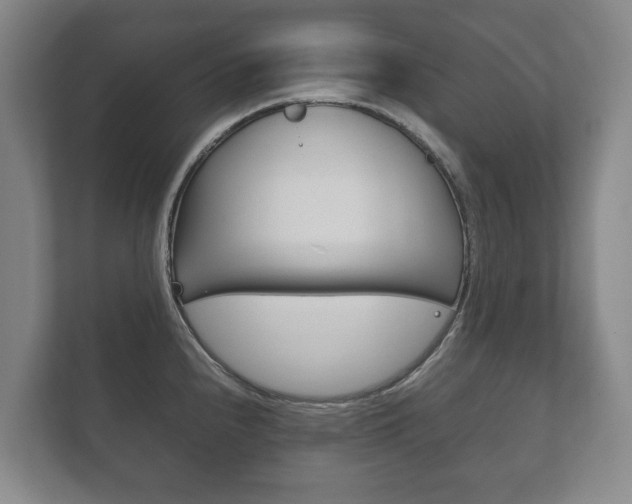 X0000111841240200907231033