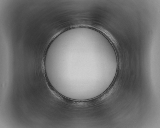 X0000111841241200907231033