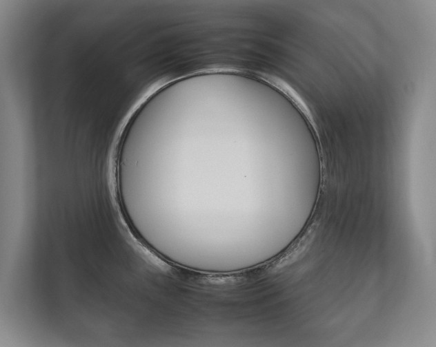 X0000111841243200907231033