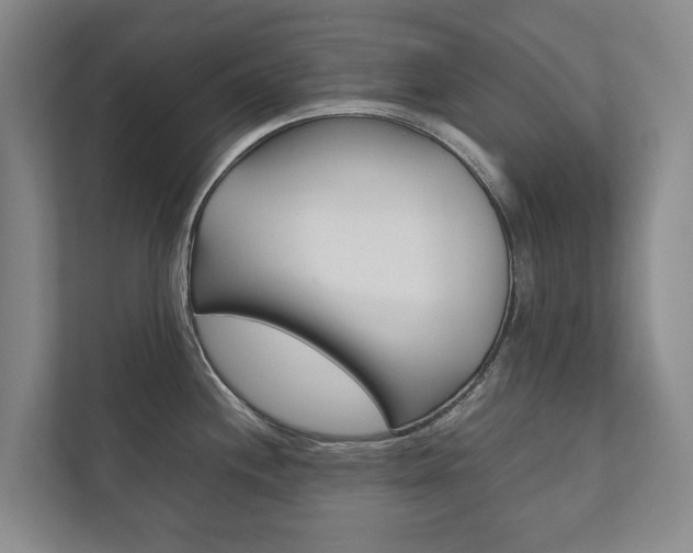 X0000111841244200907231033