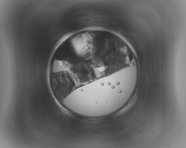 X0000111841245200907231033