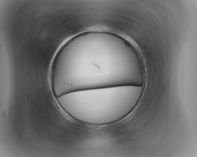 X0000111841248200907231033