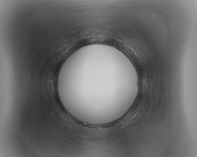 X0000111841250200907231032