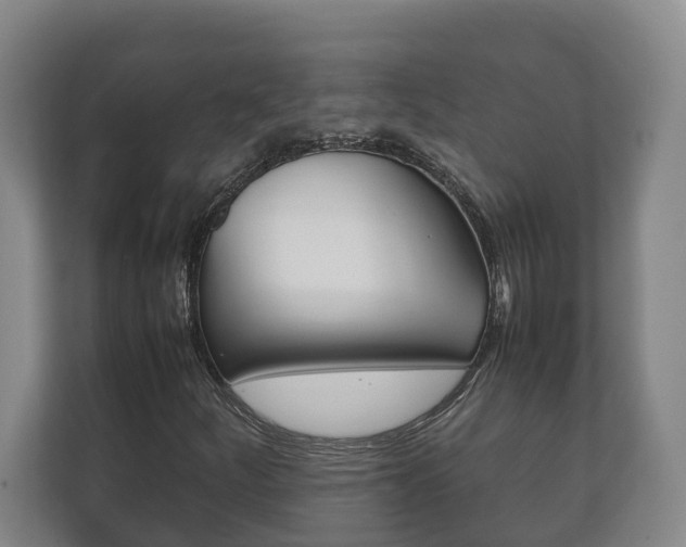 X0000111841252200907231032