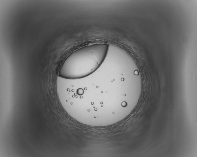 X0000111841253200907231032