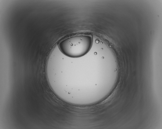 X0000111841257200907231032