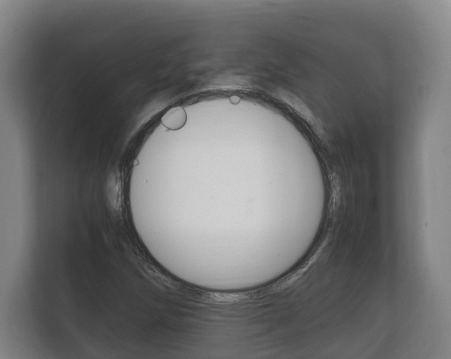 X0000111841258200907231032