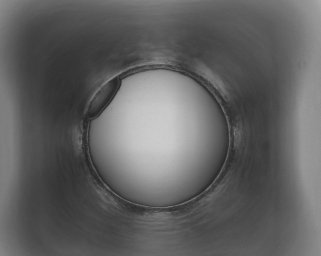 X0000111841260200907231032