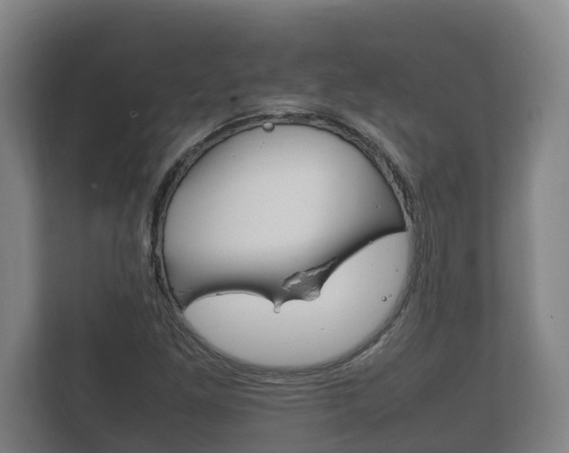 X0000111841261200907231032