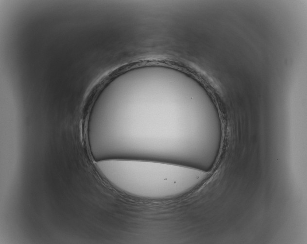 X0000111841262200907231032