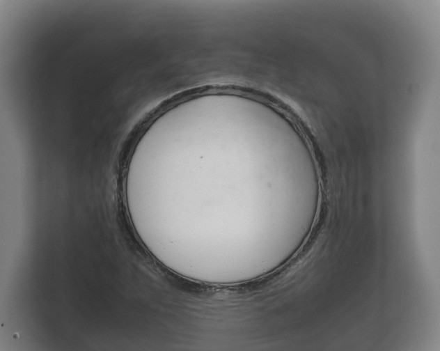 X0000111841263200907231032