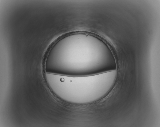 X0000111841264200907231032