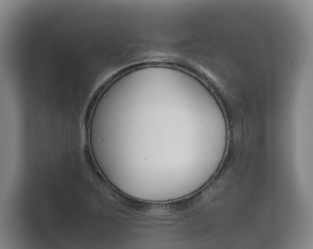 X0000111841267200907231032