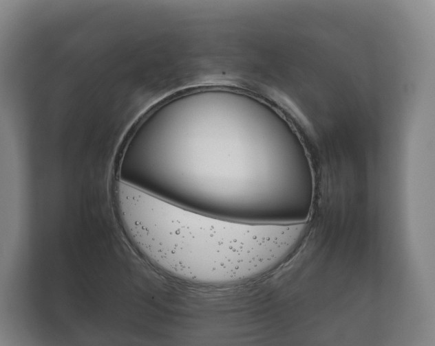 X0000111841268200907231032