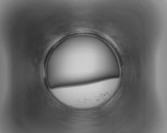 X0000111841269200907231032