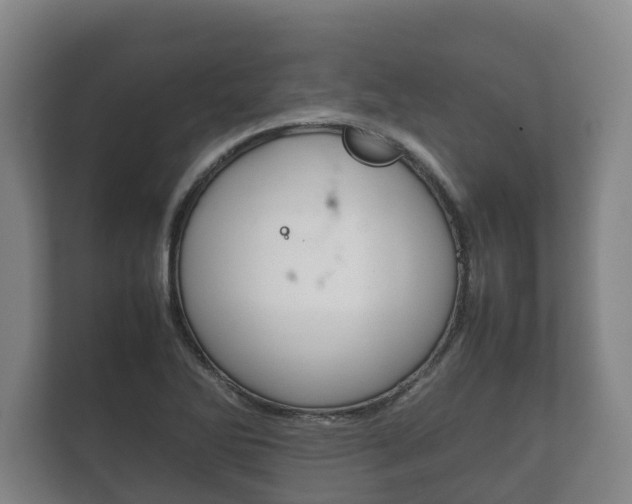 X0000111841270200907231032