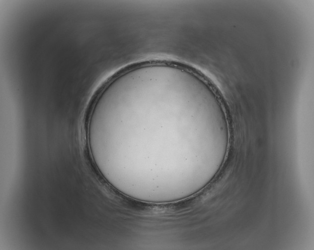 X0000111841271200907231032
