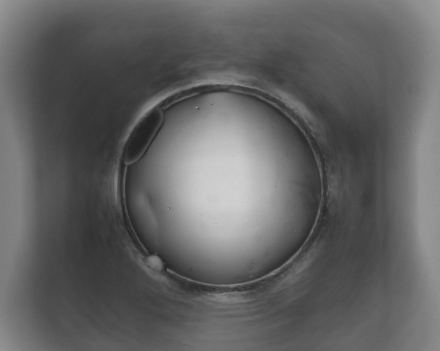 X0000111841272200907231032
