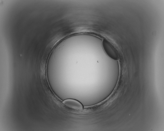 X0000111841273200907231032