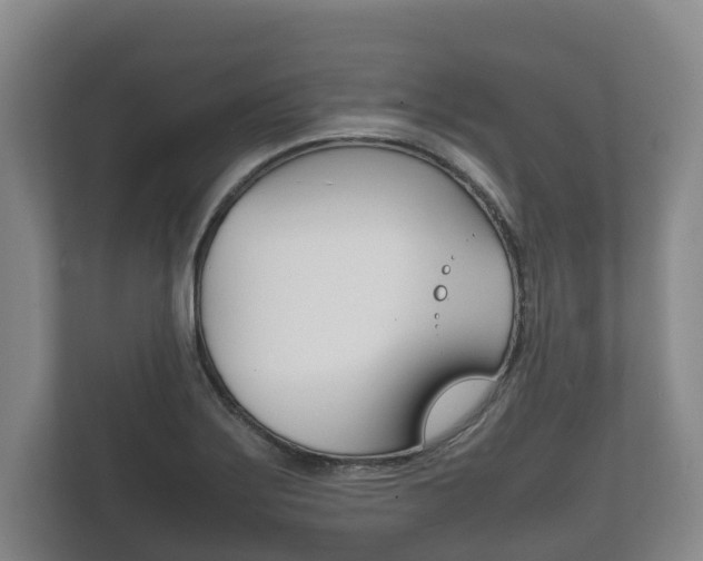 X0000111841275200907231032