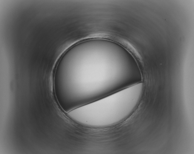 X0000111841276200907231032