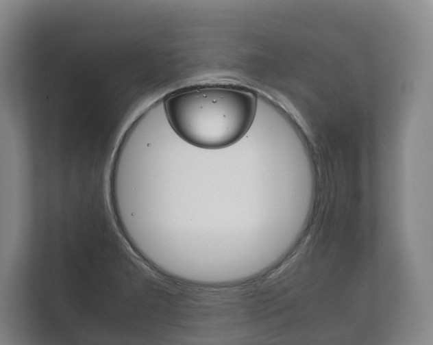 X0000111841277200907231032