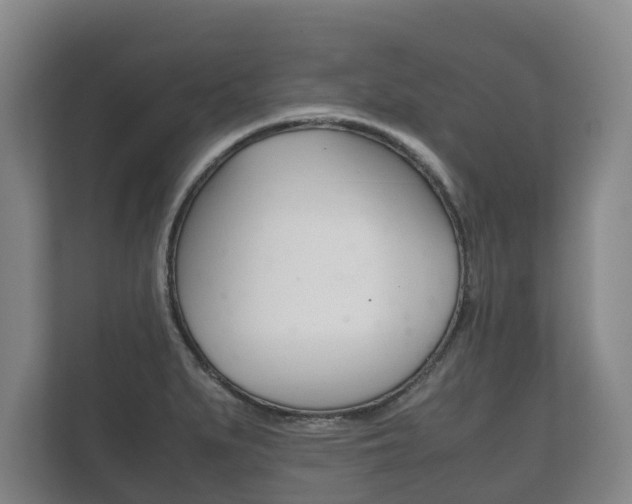 X0000111841279200907231032