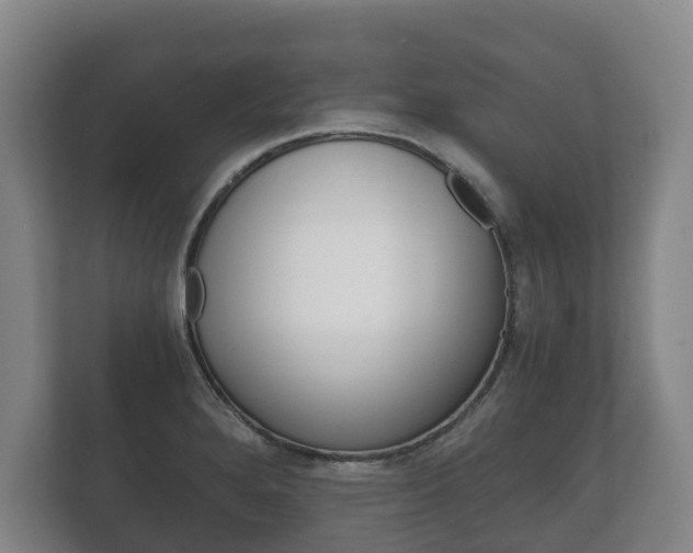 X0000111841280200907231032