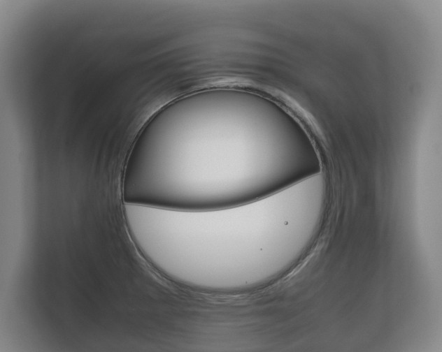 X0000111841281200907231032