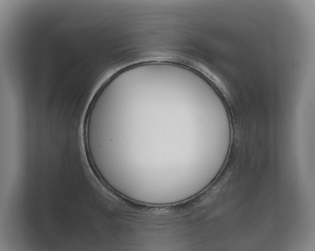 X0000111841283200907231032