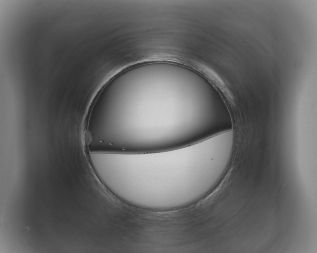 X0000111841284200907231032