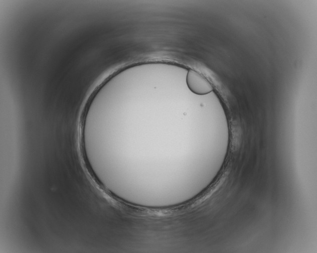 X0000111841286200907231032