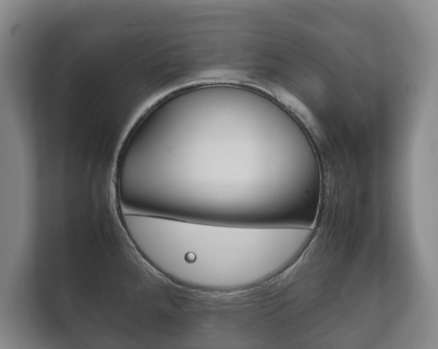 X0000111841288200907231032